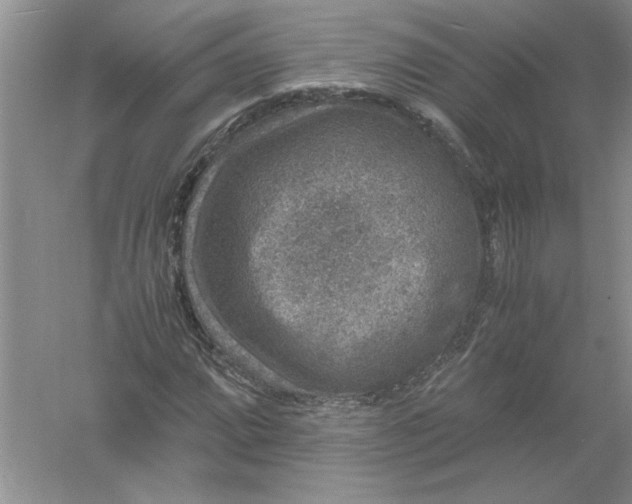 X0000061141064200512022241