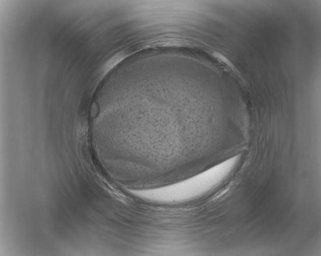 X0000061141065200512022241