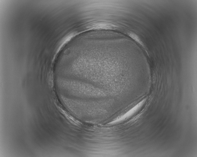 X0000061141067200512022241