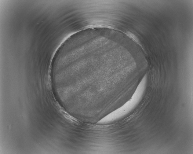 X0000061141068200512022241