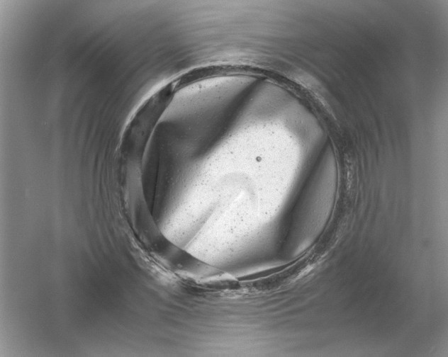 X0000061141069200512022241