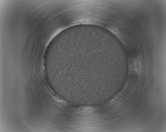 X0000061141070200512022241