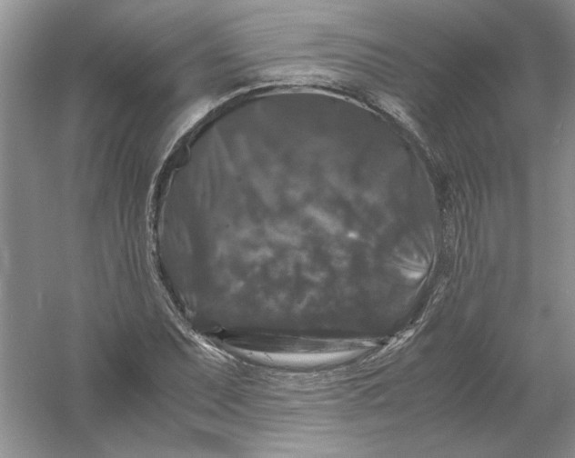 X0000061141071200512022241