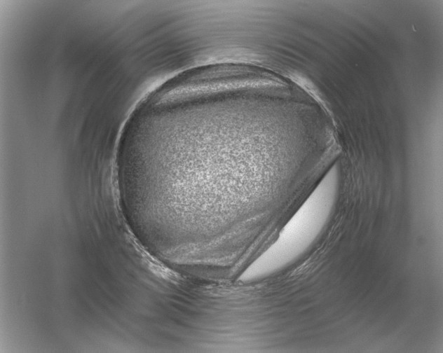 X0000061141072200512022241