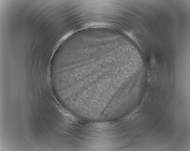 X0000061141074200512022241