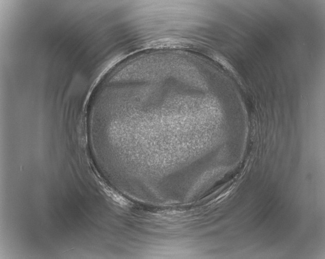 X0000061141075200512022241