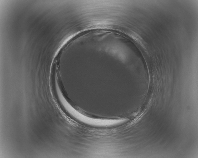 X0000061141077200512022241