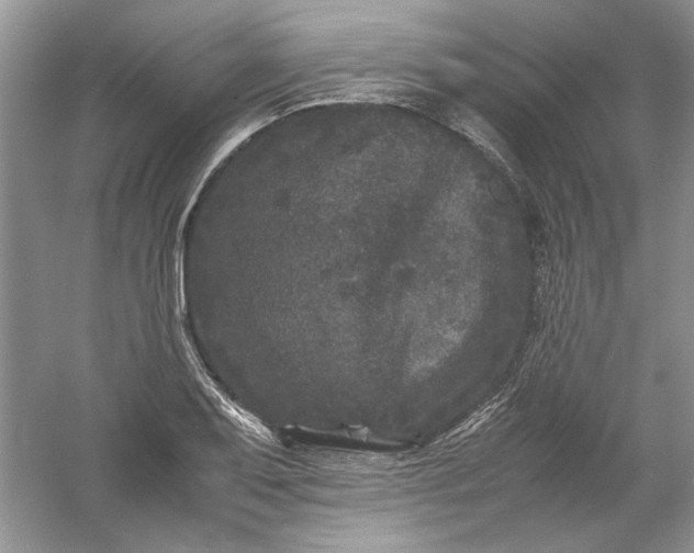 X0000061141079200512022241