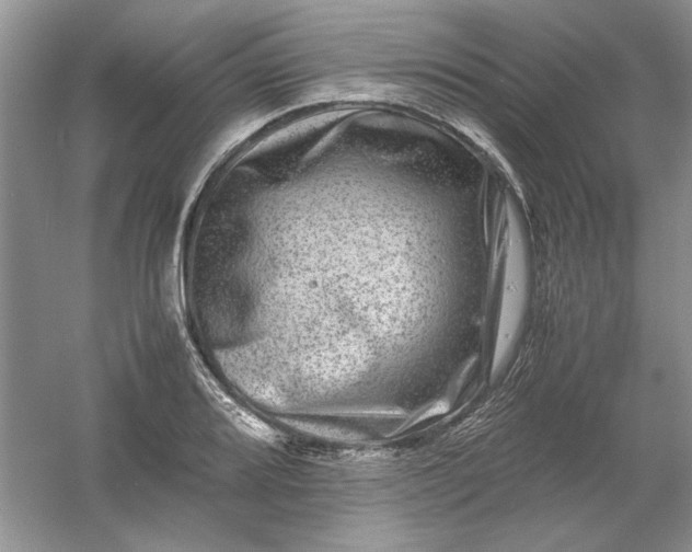 X0000061141080200512022241