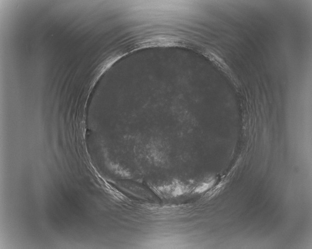 X0000061141081200512022241