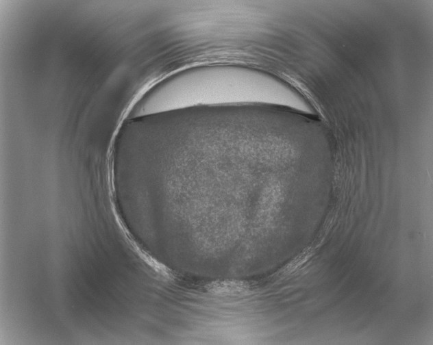 X0000061141083200512022241