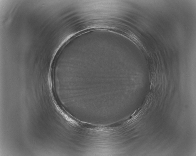 X0000061141084200512022241