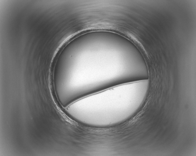 X0000061141085200512022241