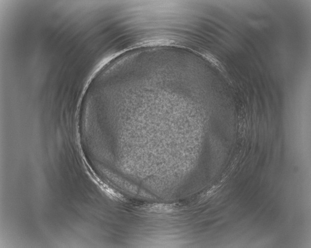 X0000061141086200512022241