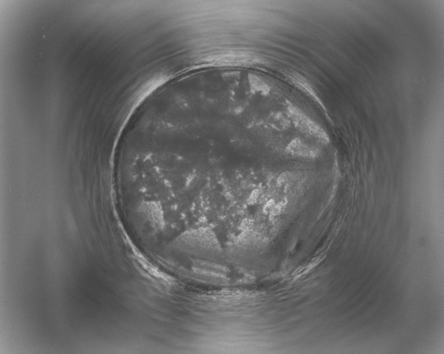 X0000061141087200512022241