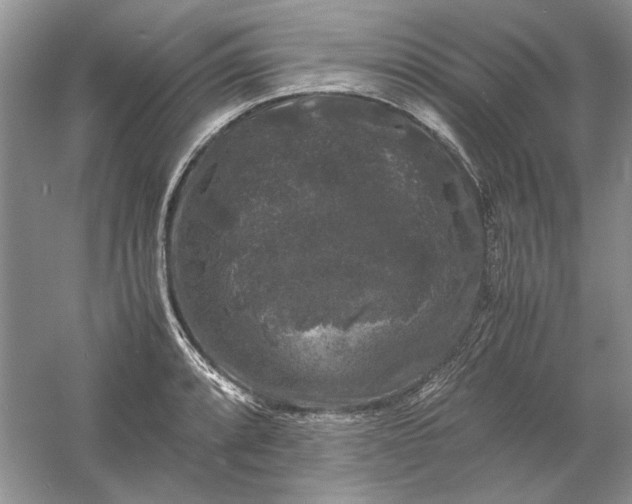 X0000061141088200512022241