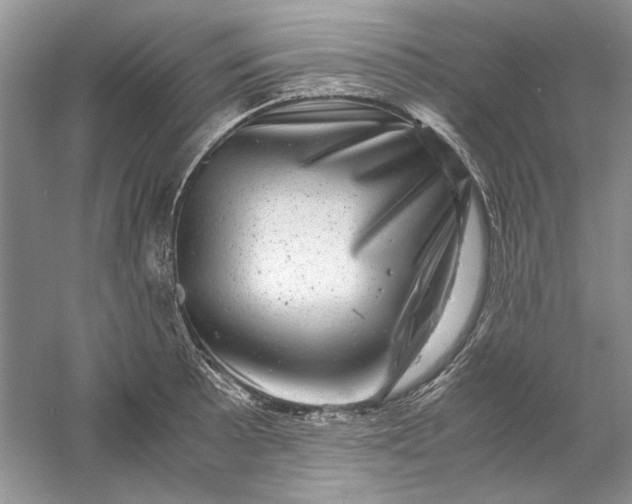 X0000061141089200512022241