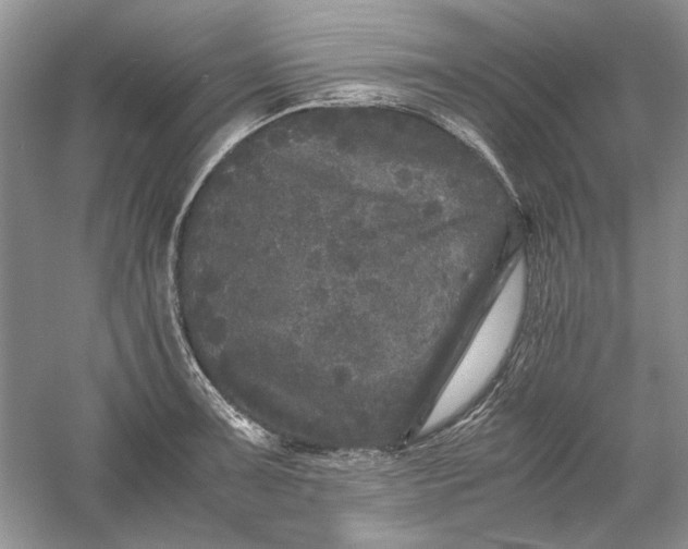 X0000061141091200512022241