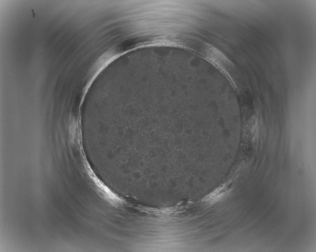 X0000061141092200512022241