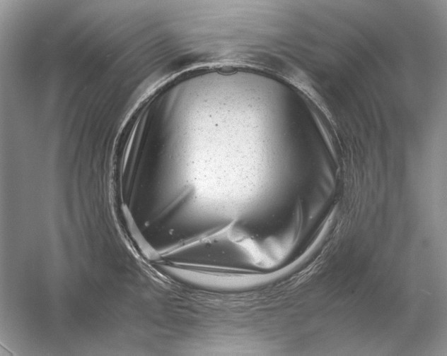 X0000061141093200512022241