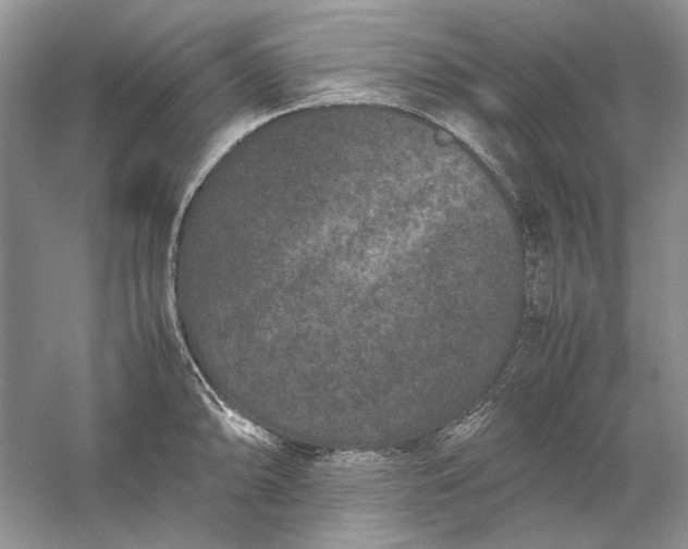 X0000061141094200512022241