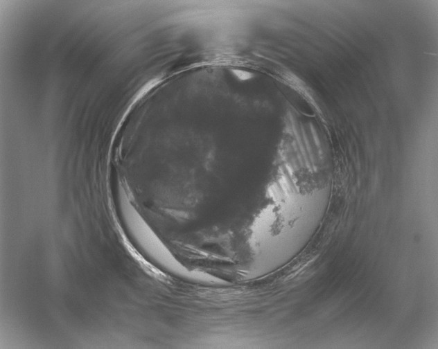 X0000061141095200512022241