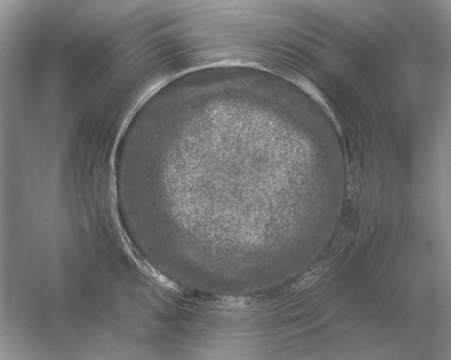 X0000061141096200512022241