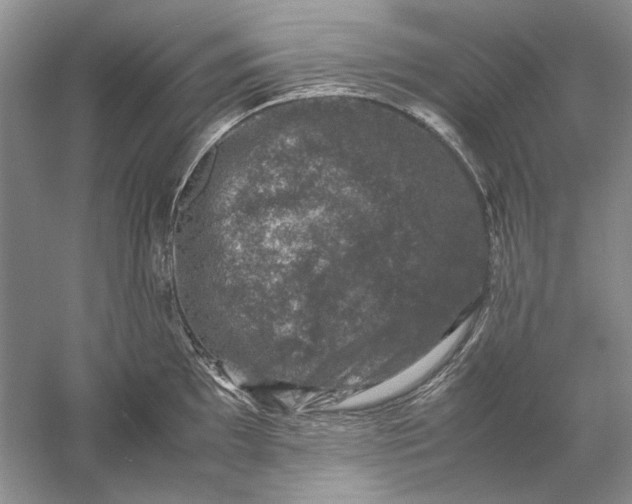 X0000061141097200512022241