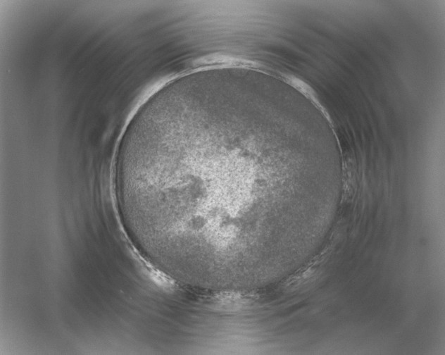 X0000061141098200512022241