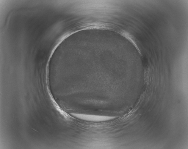 X0000061141099200512022241