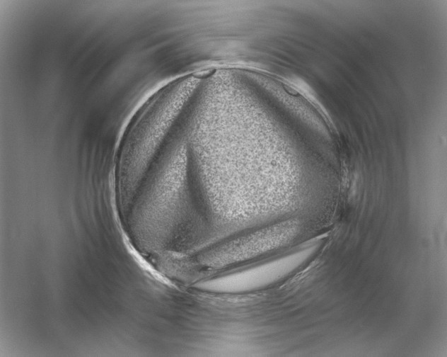 X0000061141100200512022241