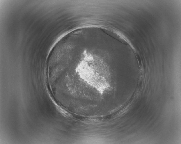 X0000061141101200512022241