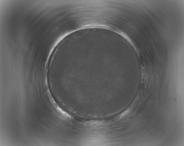 X0000061141102200512022241