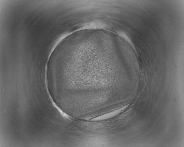 X0000061141103200512022241