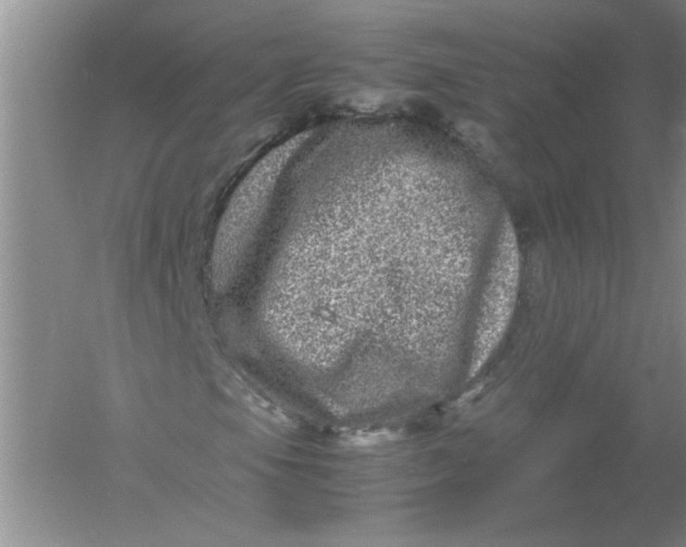 X0000061141105200512022240