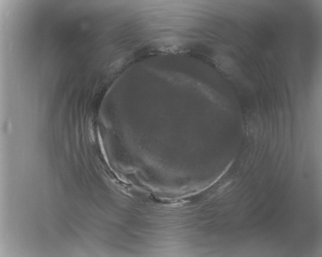 X0000061141106200512022240