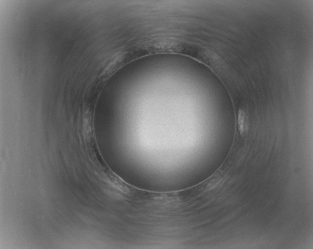 X0000061141107200512022240