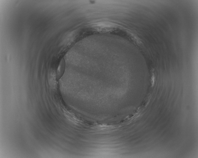 X0000061141108200512022240