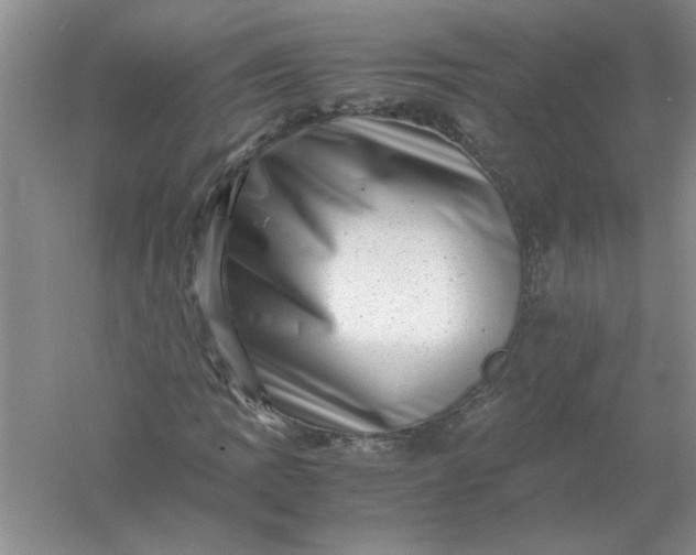 X0000061141109200512022240