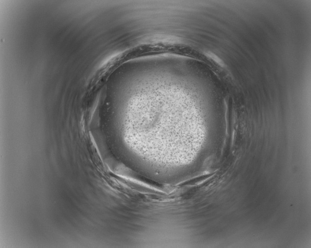 X0000061141112200512022240