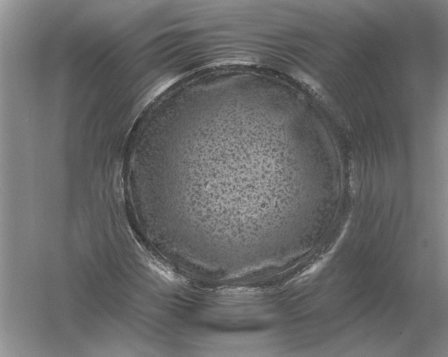 X0000061141113200512022240