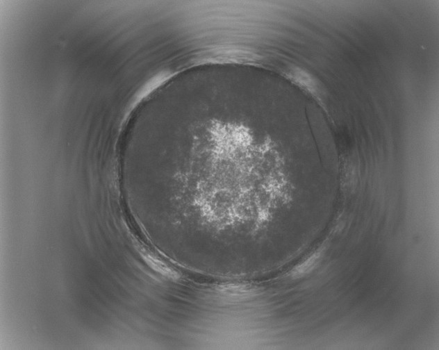 X0000061141114200512022240