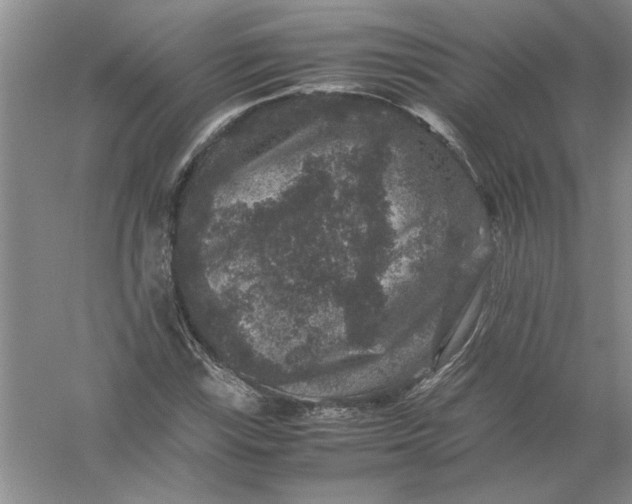 X0000061141115200512022240