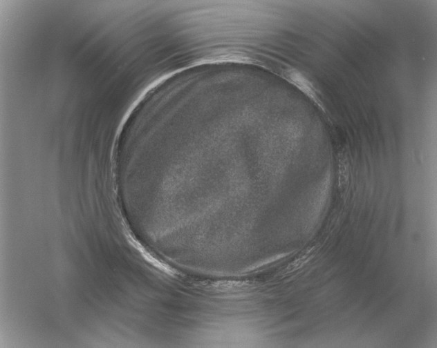 X0000061141116200512022240