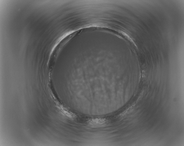 X0000061141117200512022240