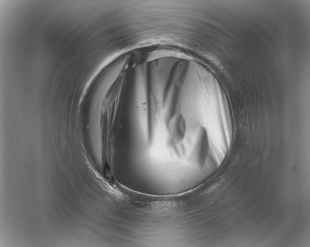 X0000061141118200512022240