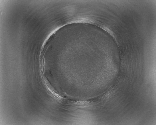 X0000061141120200512022240