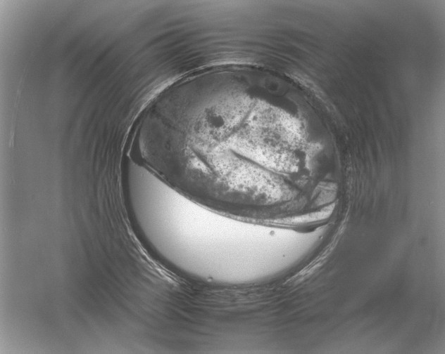 X0000061141121200512022240