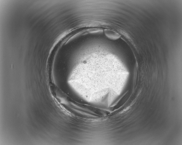 X0000061141122200512022240