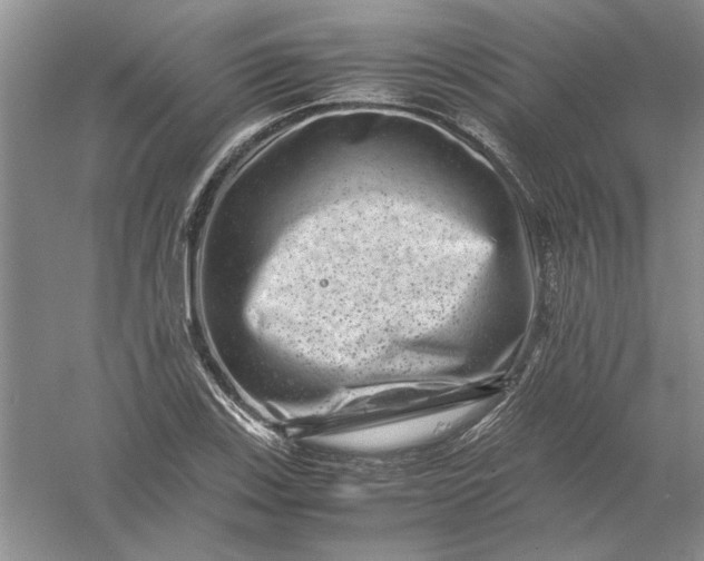 X0000061141123200512022240